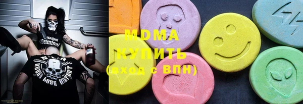 шишки Лабытнанги