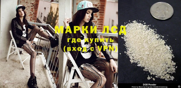 шишки Лабытнанги