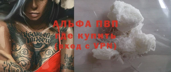 шишки Лабытнанги
