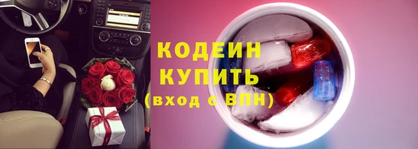 шишки Лабытнанги
