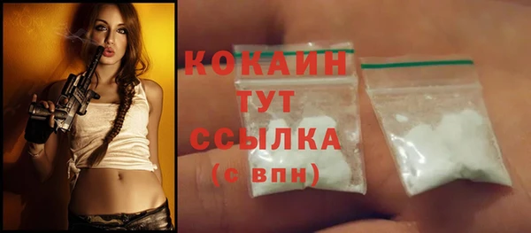 шишки Лабытнанги