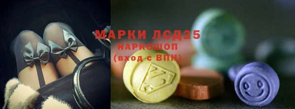шишки Лабытнанги
