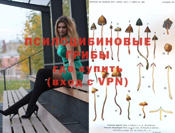 MDMA Лагань