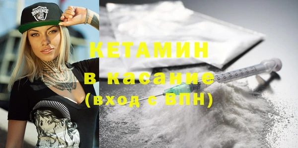 шишки Лабытнанги