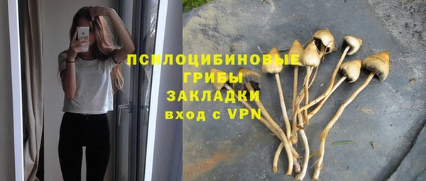 шишки Ладушкин