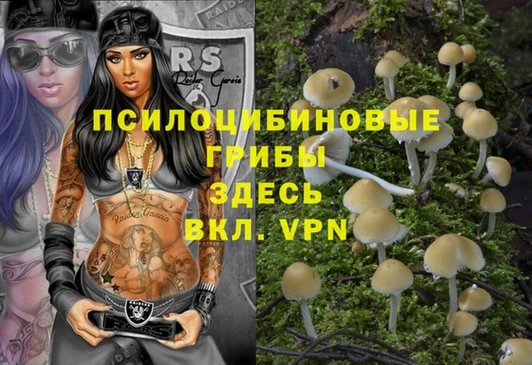 шишки Лабытнанги