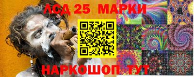 крисы Дубна