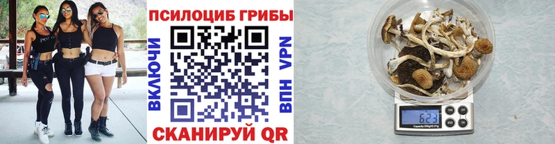 Галлюциногенные грибы мицелий Невинномысск