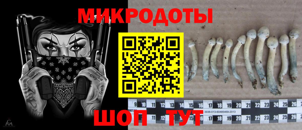 Псилоцибиновые грибы GOLDEN TEACHER  Вход с VPN  Невинномысск  Псилоцибиновые грибы Cubensis 
