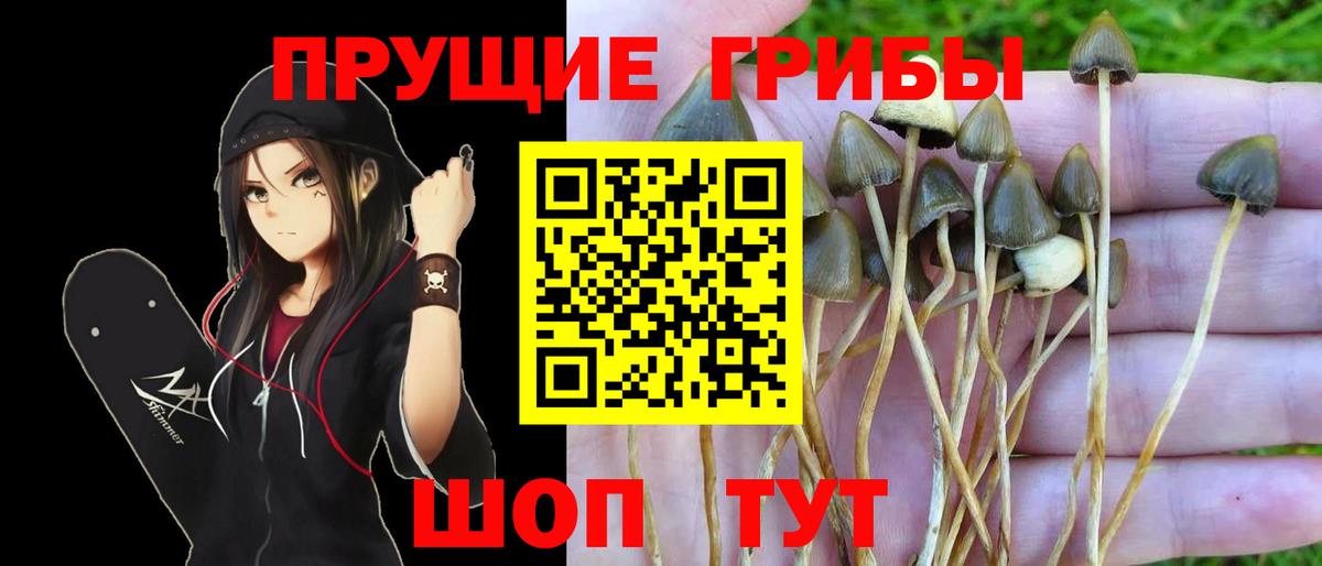 Псилоцибиновые грибы мухоморы Невинномысск